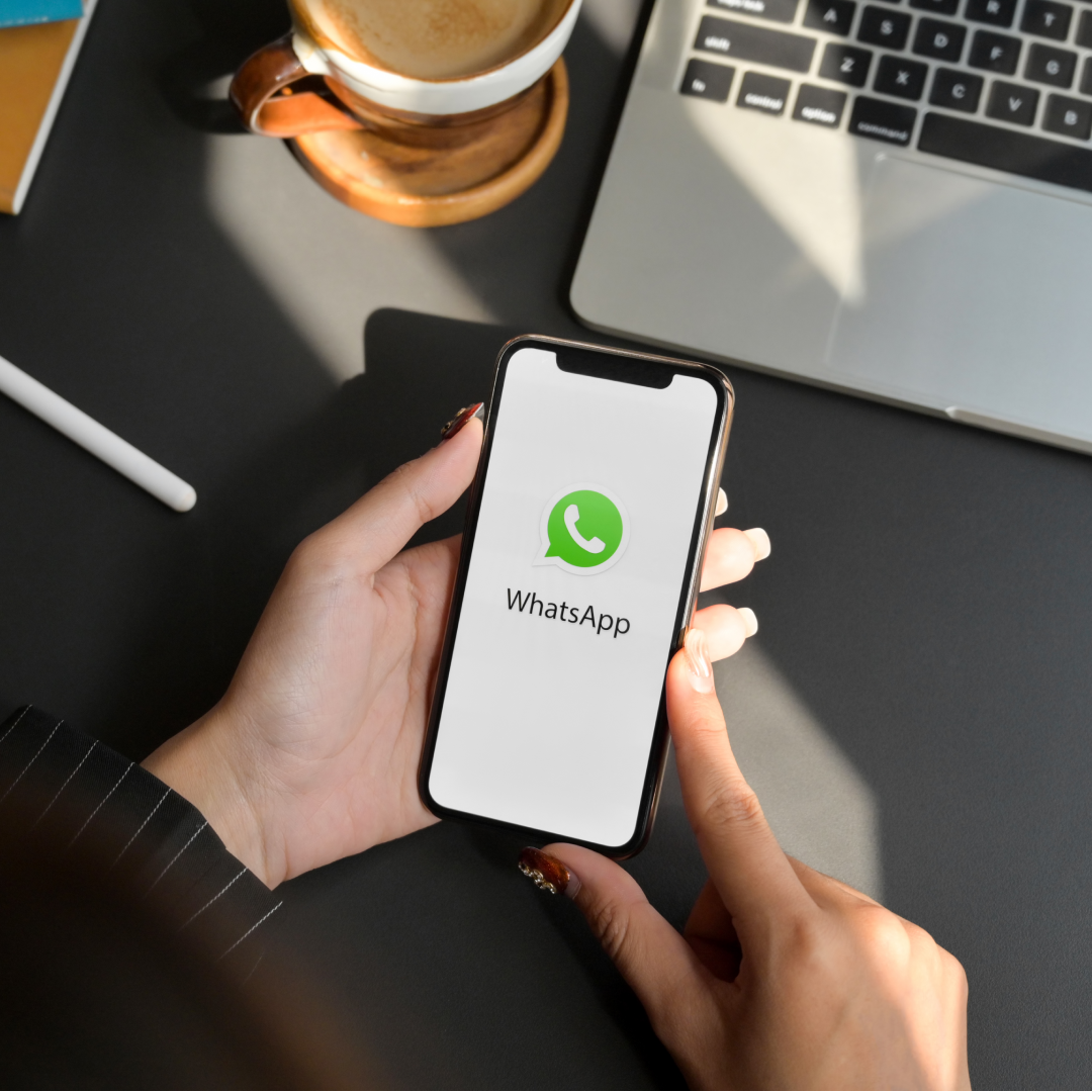 Como fazer disparo em massa no WhatsApp sem bloquear o número da sua empresa